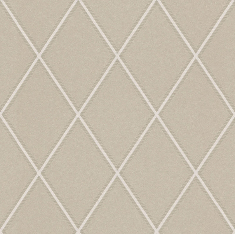 n50133315r Stylish designer diamond pattern in soft beige and silver tones with a soft metallic effect. Paste the wall.