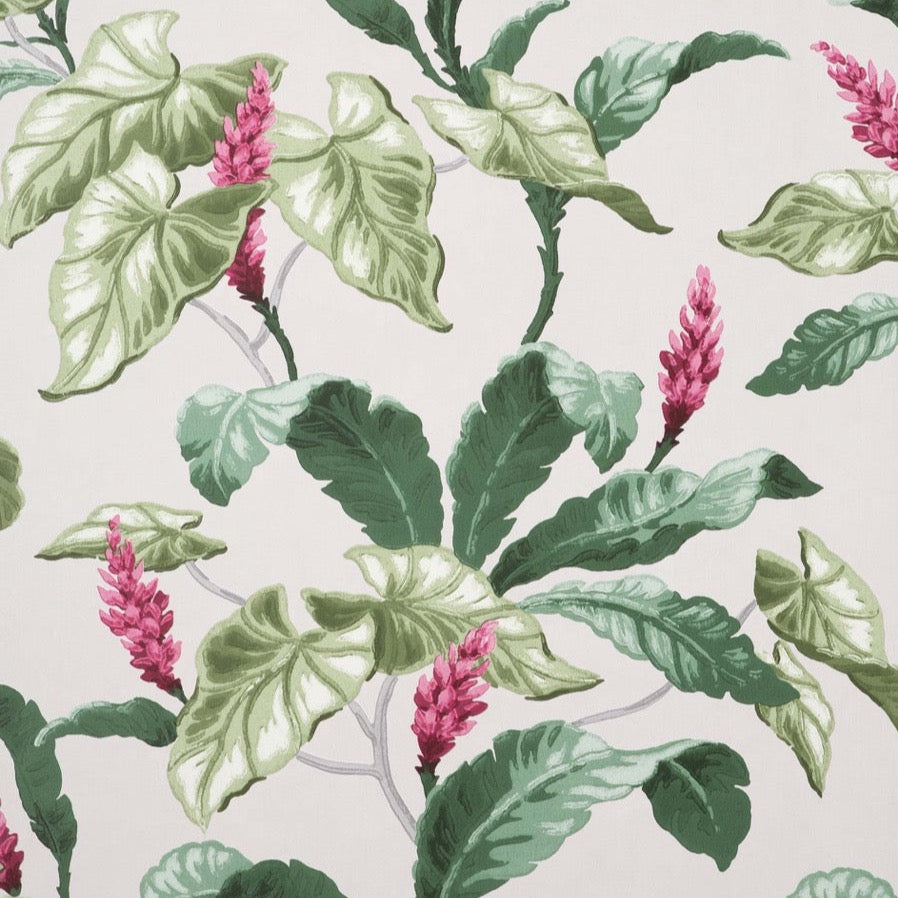 nm165592c Fabulous trailing leaf in grey, green and pink tones. This fabulous design is taken from the archive collection, with designs dating from the past 100 years, reinvented to reflect contemporary tastes. Stunning paste the wall designer wallpaper.