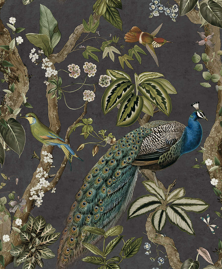 NV9170041H Stunning floral peacock design on a trendy and stylish charcoal background. Easy to hang paste the wall high quality wallpaper.