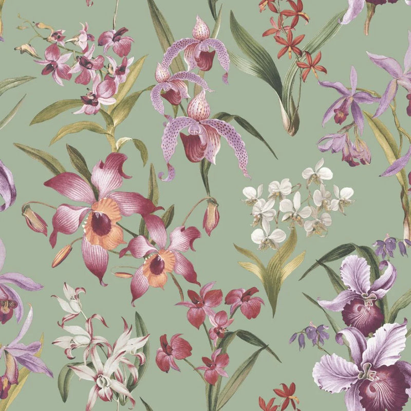 w28355654r Beautiful lilac background with gorgeous wild orchid flowers in pink and purple tones.
