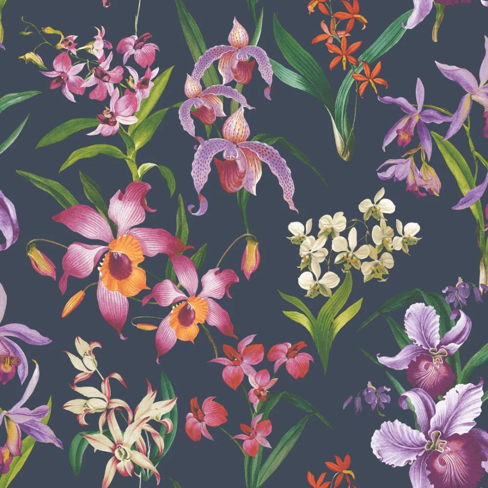 w28377678r Beautiful rich navy background with gorgeous wild orchid flowers in bright pink.