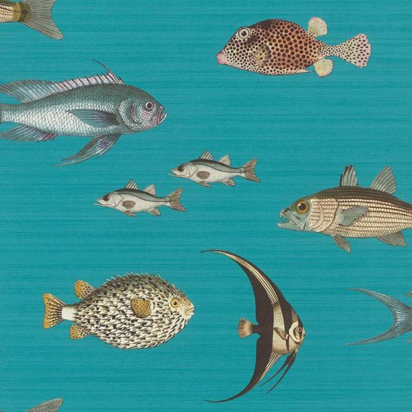 n55377536r Funky fish motif set on a turquoise blue matt background. Paste the wall.