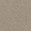 n55433519r Fabulous paste the wall texture in dark taupe tones.