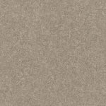 n55433519r Fabulous paste the wall texture in dark taupe tones.