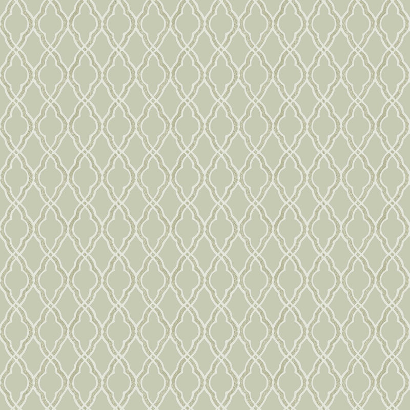 nv2885535p Fabulous and stylish trellis design in soft green tones on paste the wall vinyl. Supreme quality vinyl.