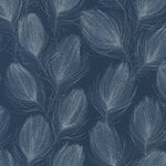 nv69977203r Fabulous silver flowing feather on a beautiful navy background. Paste the wall vinyl.
