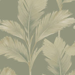 w5915520b Trendy large scale palm leaf design in sage green.