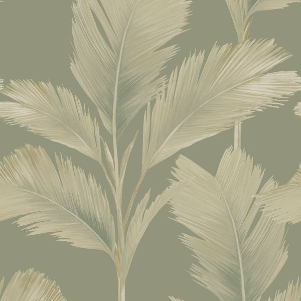 w5915520b Trendy large scale palm leaf design in sage green.