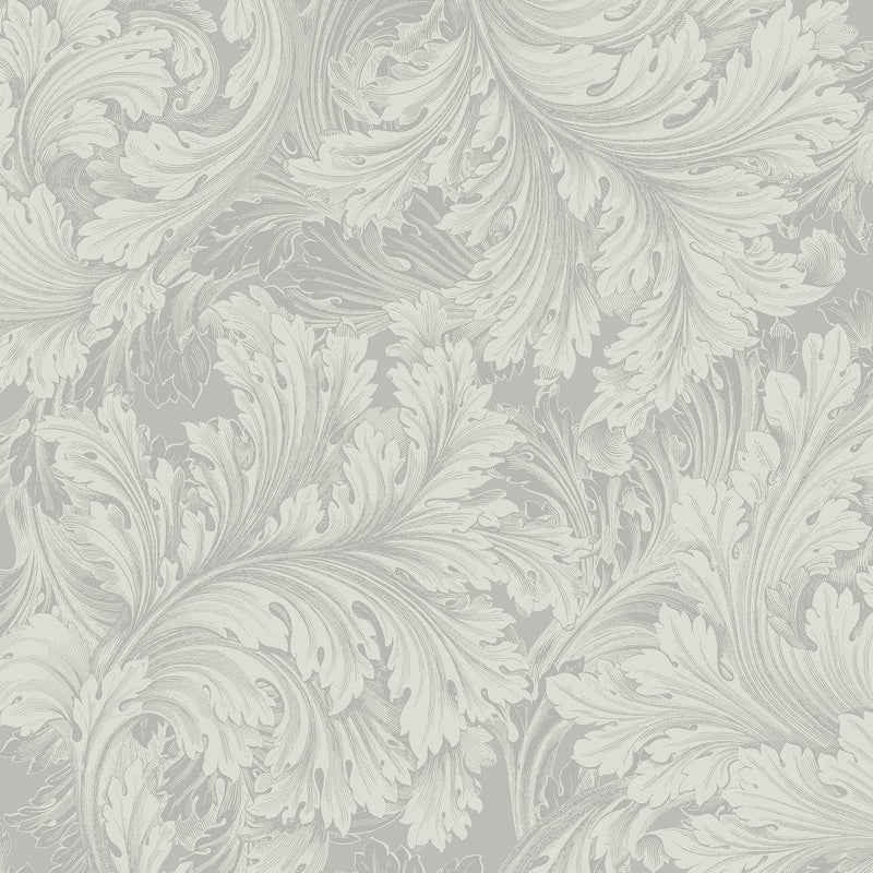 wa6800901g Gorgeous scrolling leaf pattern in grey.