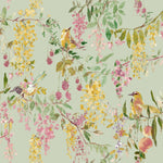 wa7935502g Gorgeous beautiful birds on trailing floral branches on a delicate green background.