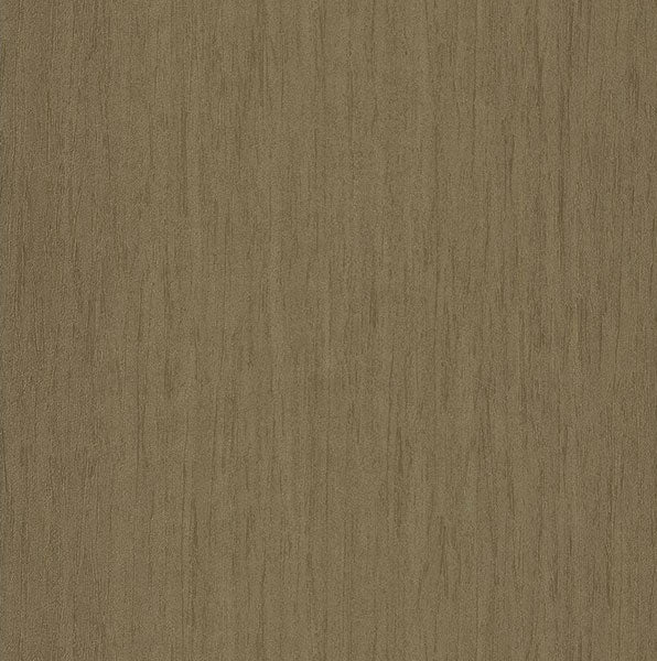 AMBA81262101 Gorgeous plain brown grey paste the wall.