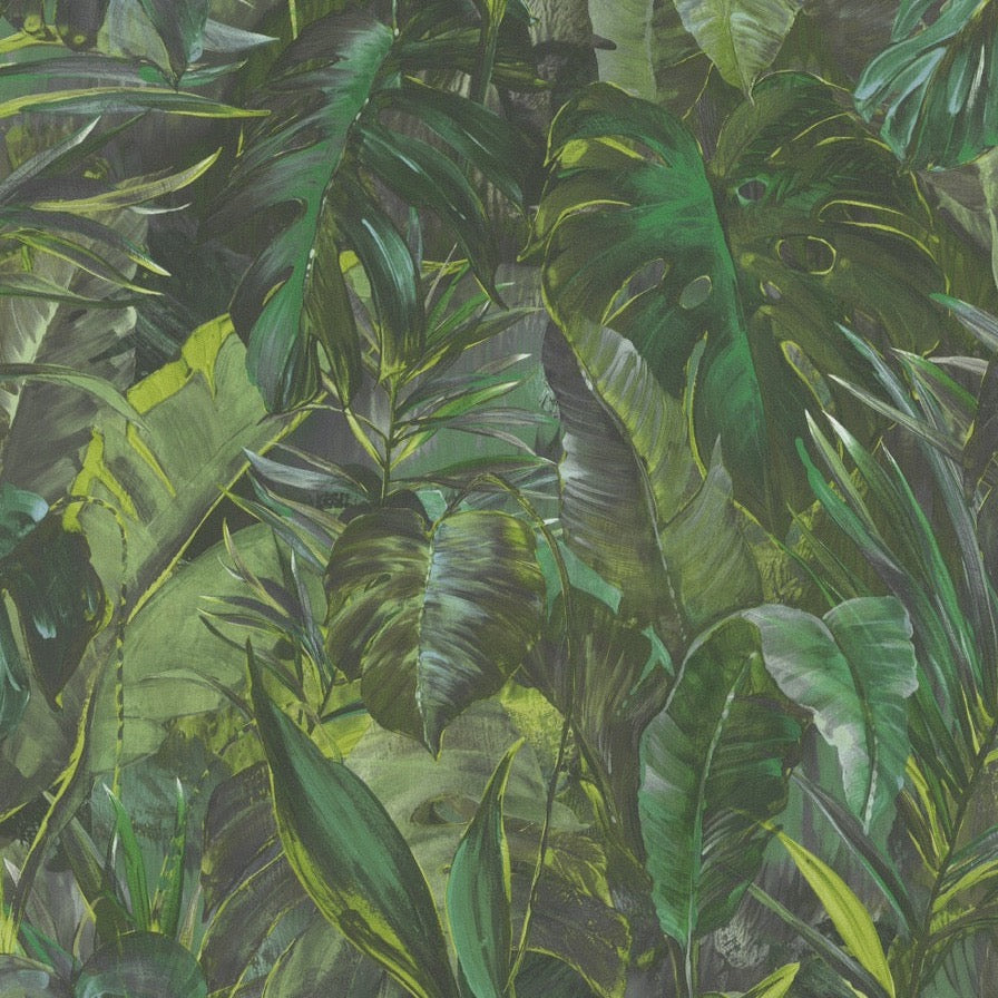 n100855107e Captivating jungle inspired leaf design in greens. Easy-hang paste the wall vinyl.