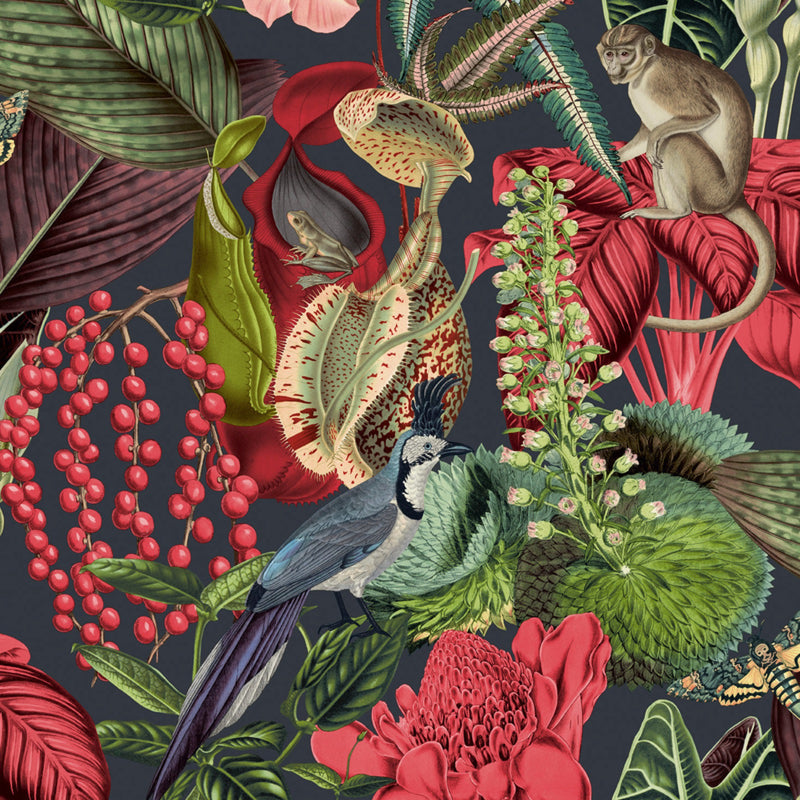 JF221101g Gorgeous jungle themed wallpaper with birds and monkeys. Paste the wall.