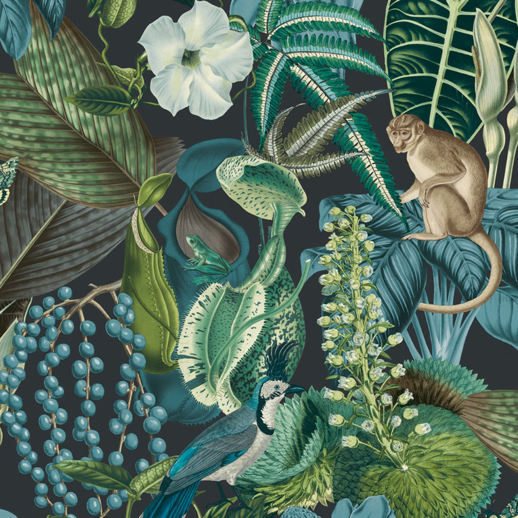 JF225502g Gorgeous jungle themed wallpaper with birds and monkeys. Paste the wall.