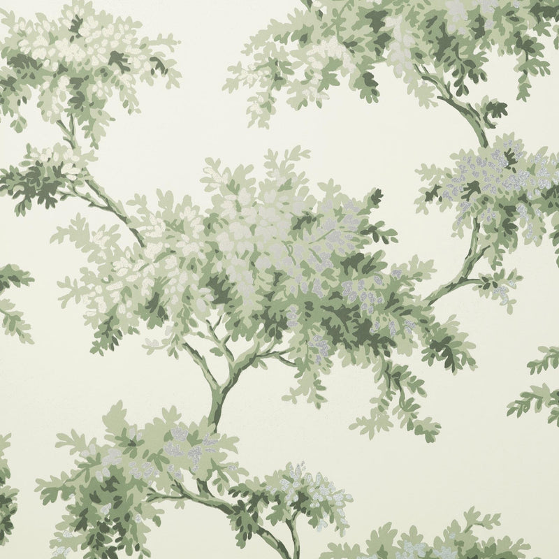 nm165574c Fabulous tree trail in soft green. This fabulous design is taken from the archive collection, with designs dating from the past 100 years, reinvented to reflect contemporary tastes. Stunning paste the wall designer wallpaper.