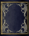 nv19177502g Fabulous vintage distressed panel effect in soft grey with gold. Paste the wall vinyl.