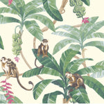 MY245501g Beautiful tropical monkey design on 'easy hang' paste the wall, matt vinyl.
