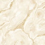 vh52966425r Beautiful luxurious marble effect design in taupe on high quality heavy weight vinyl.
