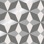 w4200549f Funky geometric design in grey