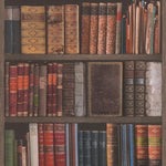 w93433809r Realistic vintage bookshelf wallpaper, full of rustic character.