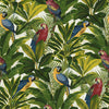 wa1111502g Fabulous and funky tropical rainforest design with beautiful parrots.