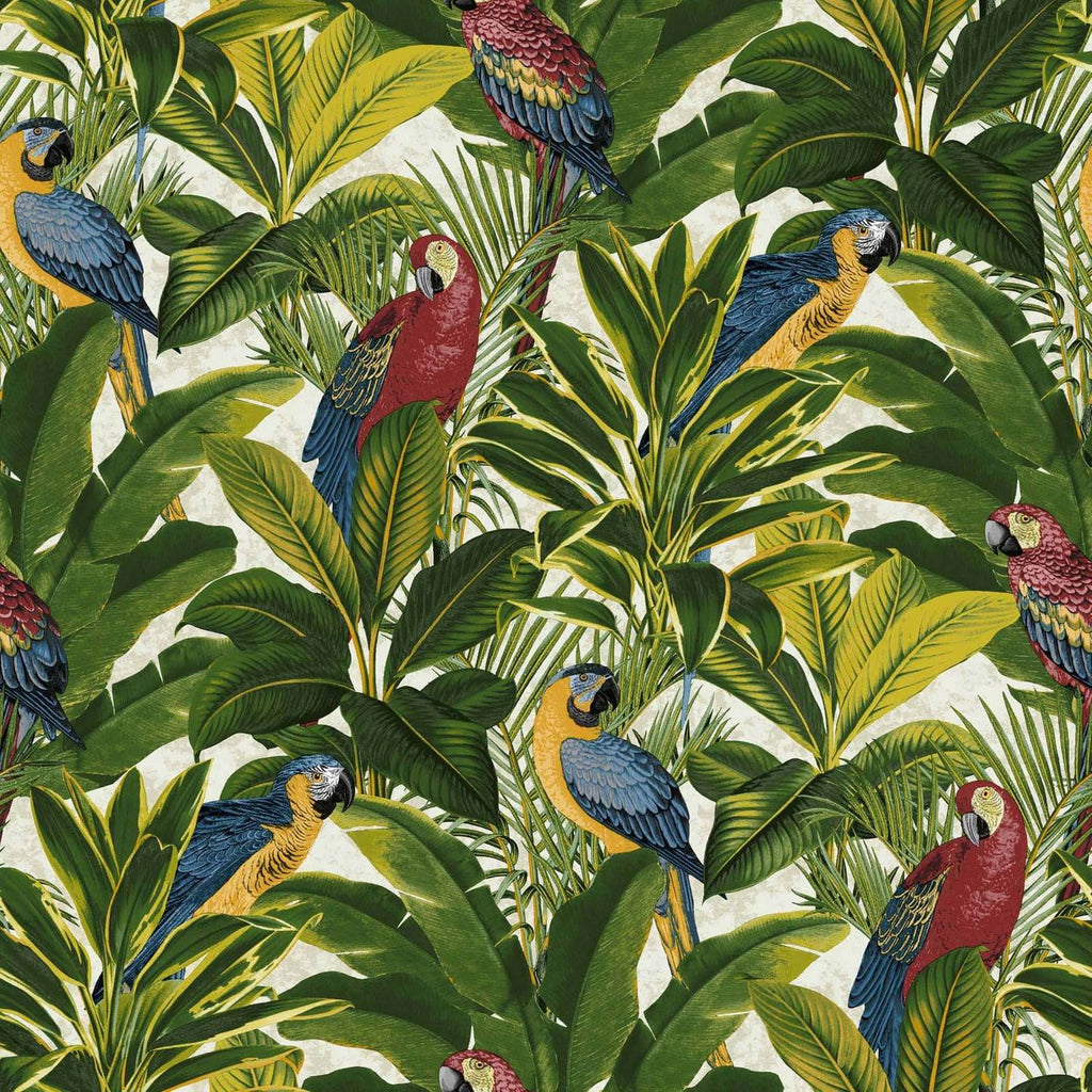 wa1111502g Fabulous and funky tropical rainforest design with beautiful parrots.